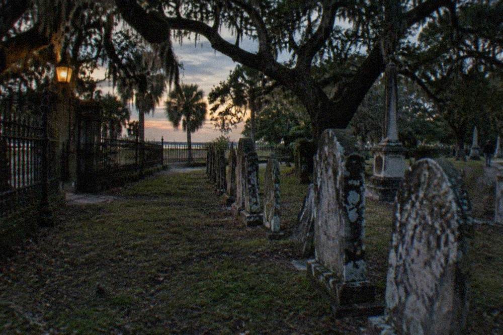 Old gravestones and oak trees in a historic Galveston cemetery at dusk