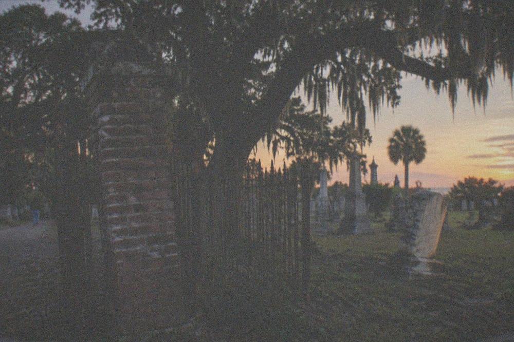 An old cemetery gateway with iron fencing and hanging moss under evening light