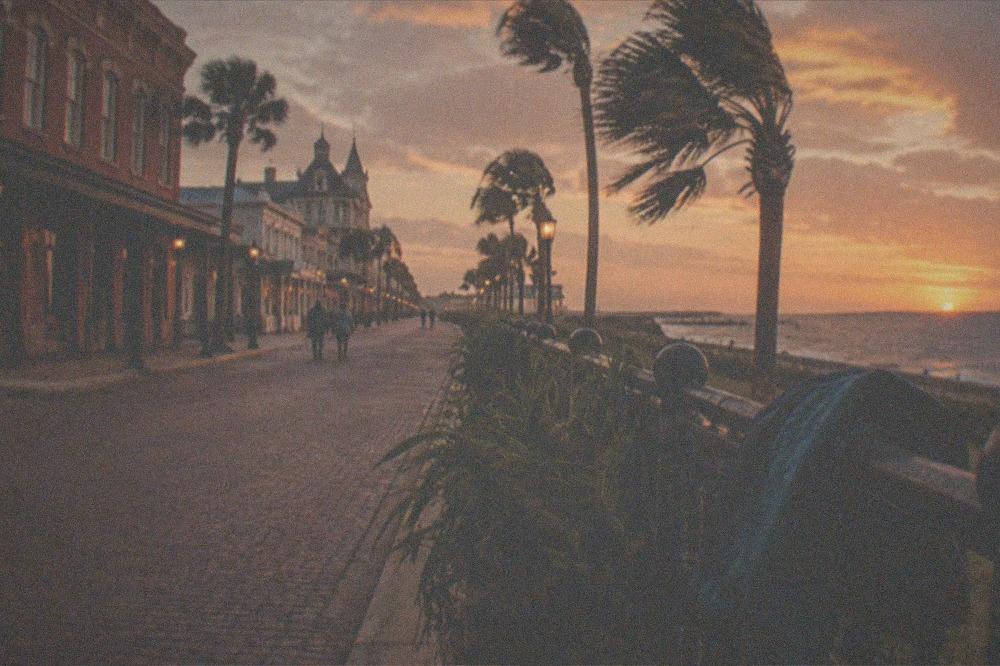 Evening street scene with palm trees and historic brick buildings in fall